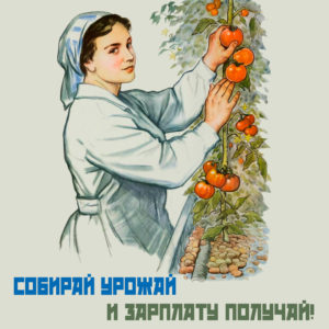 плакат теплица
